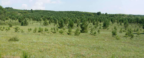 仟億達(dá)集團(tuán)與國營御道口牧場達(dá)成造林碳匯項(xiàng)目合作 仟億達(dá)集團(tuán)與國營御道口牧場達(dá)成造林碳匯項(xiàng)目合作